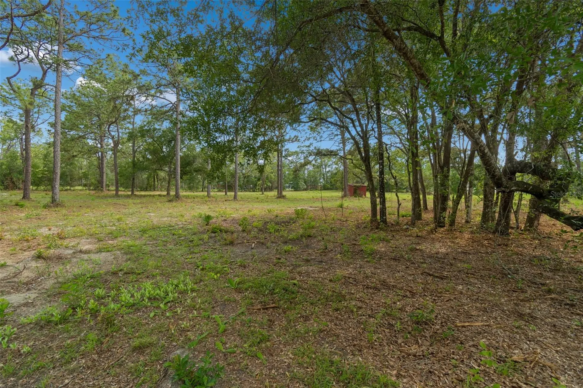 Grove Road Brooksville FL 34613