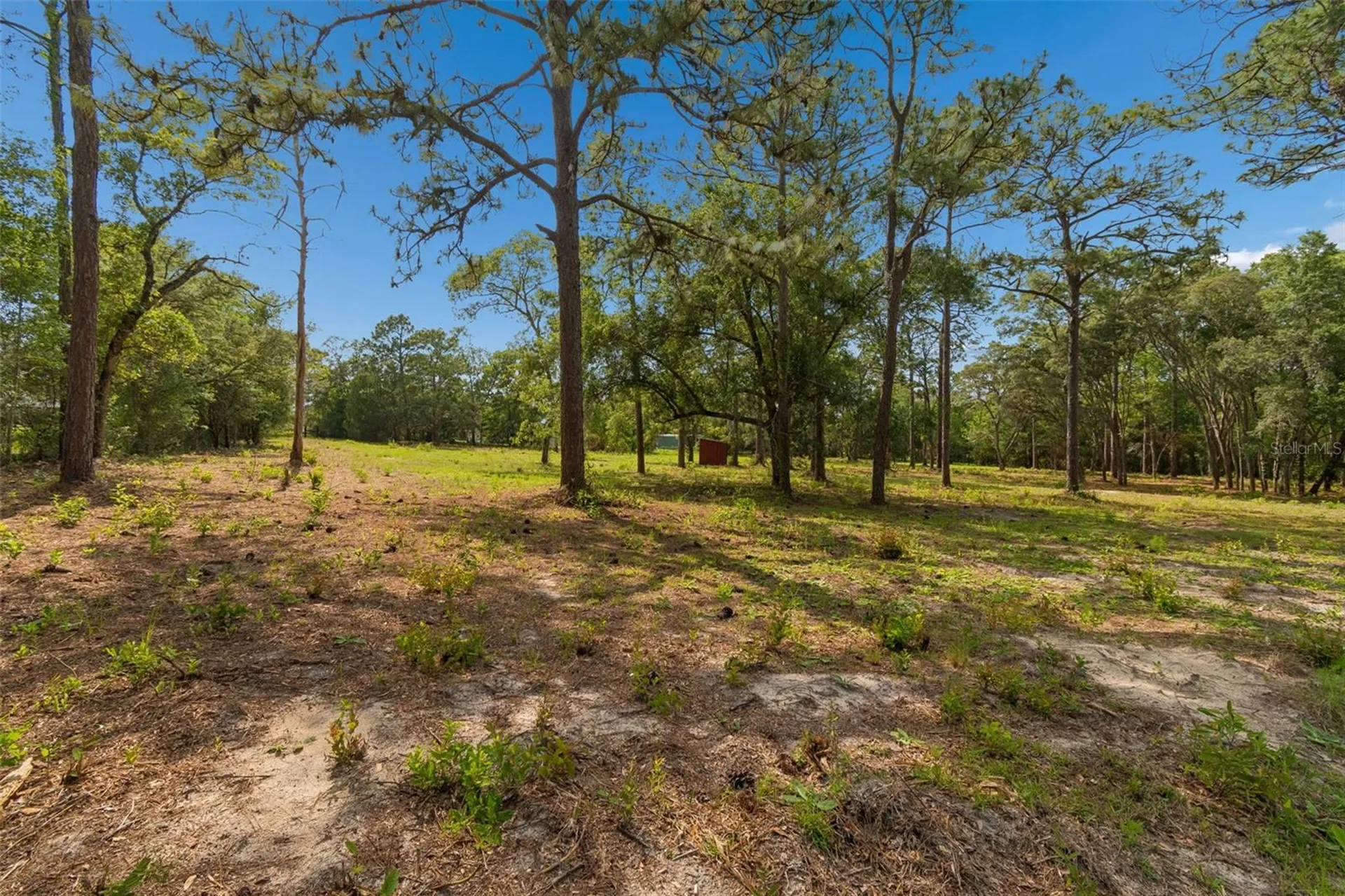 Grove Road Brooksville FL 34613