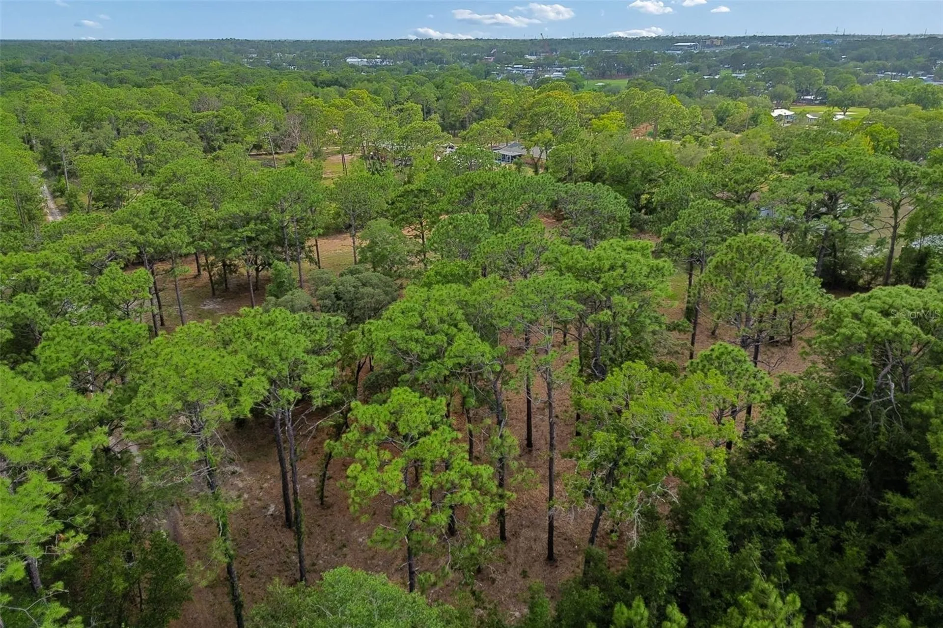 Grove Road Brooksville FL 34613
