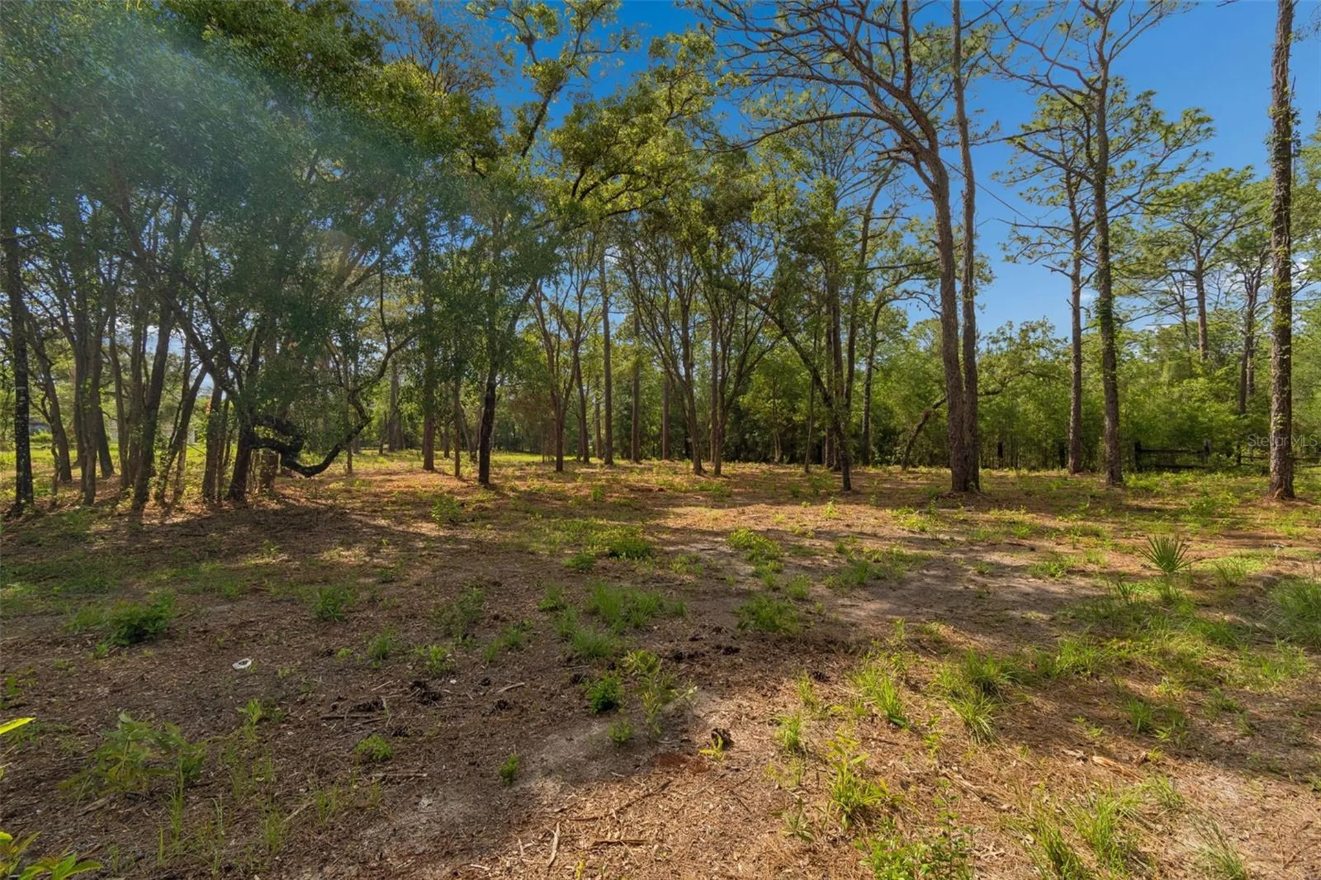 Grove Road Brooksville FL 34613