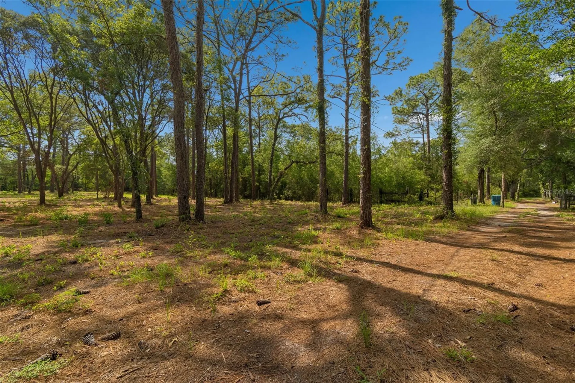 Grove Road Brooksville FL 34613