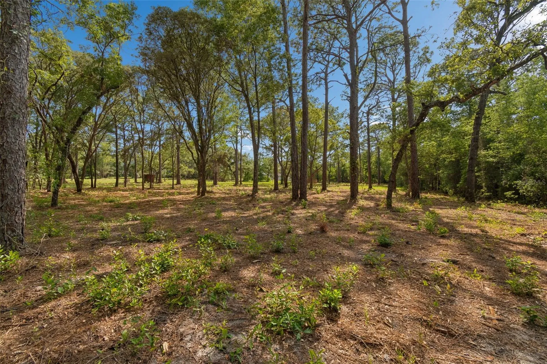 Grove Road Brooksville FL 34613