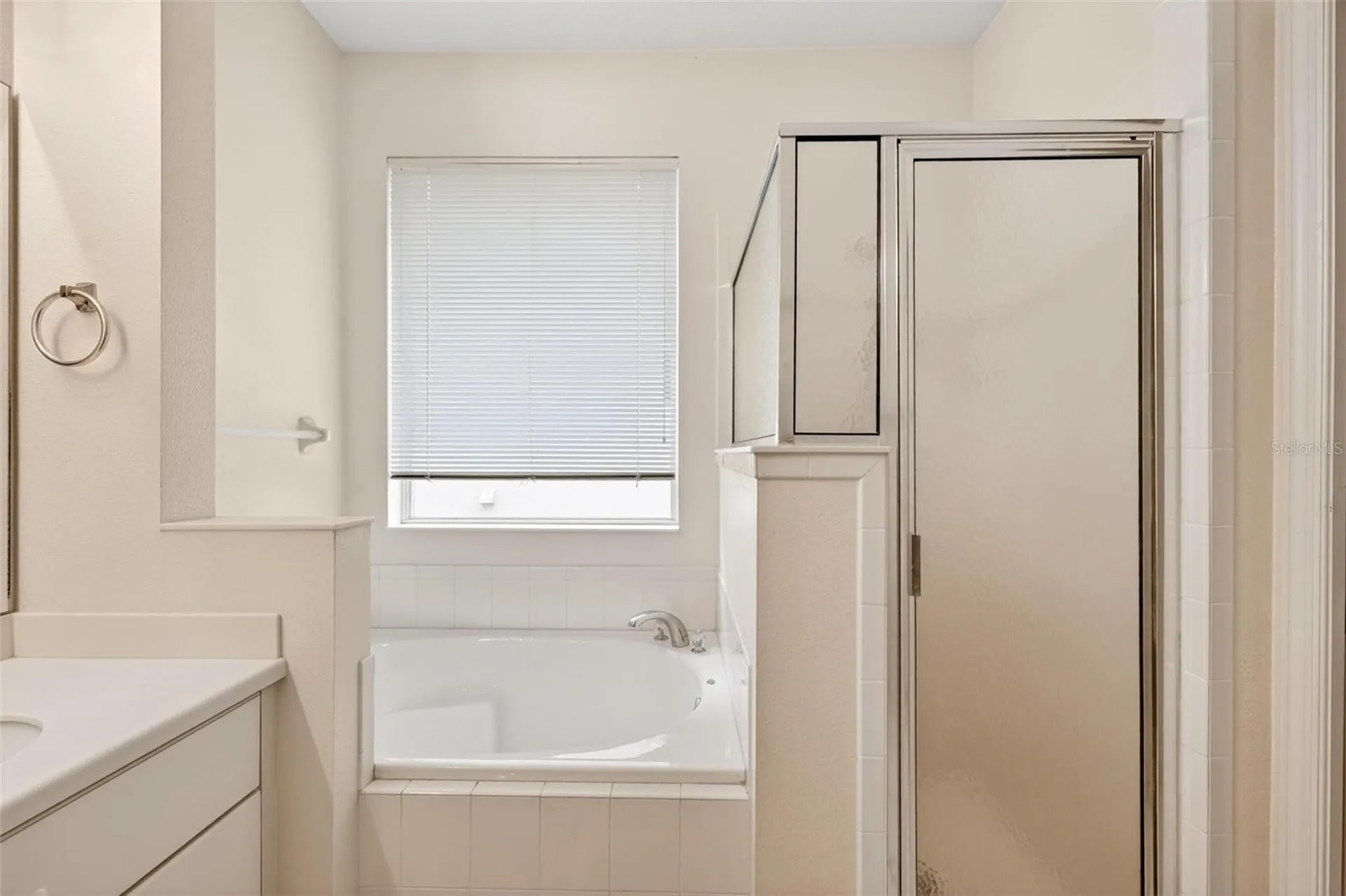 20618 Queen Alexandra Drive Leesburg FL 34748