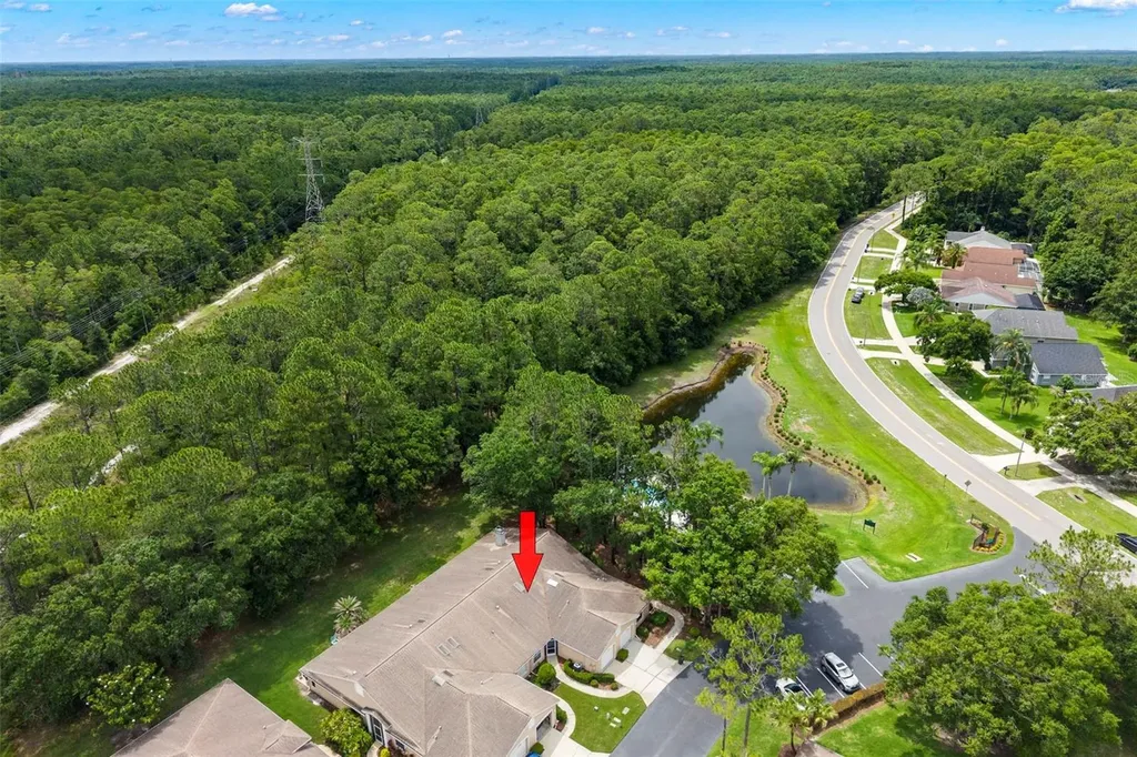 4405 Connery Court Palm Harbor FL 34685