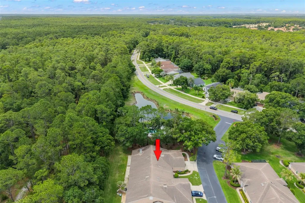 4405 Connery Court Palm Harbor FL 34685
