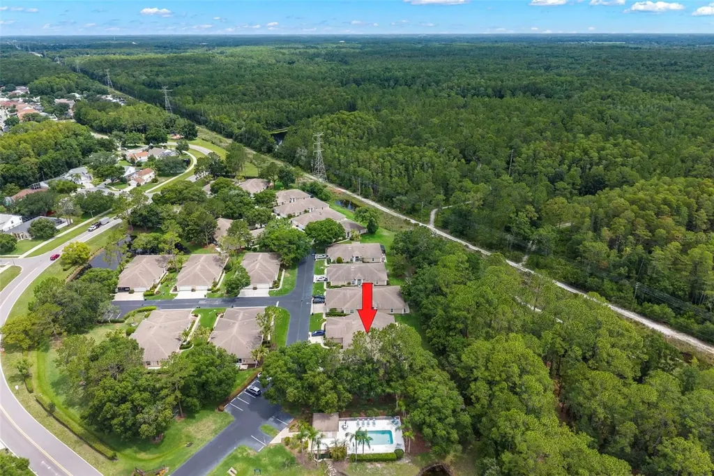 4405 Connery Court Palm Harbor FL 34685
