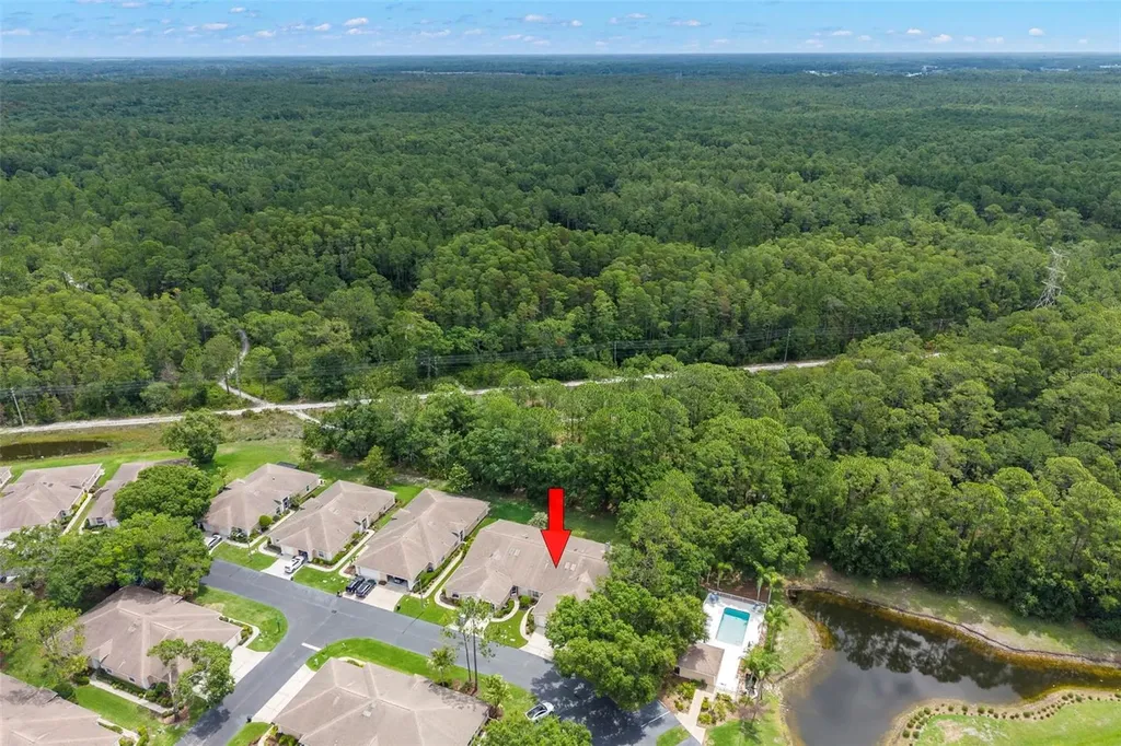 4405 Connery Court Palm Harbor FL 34685