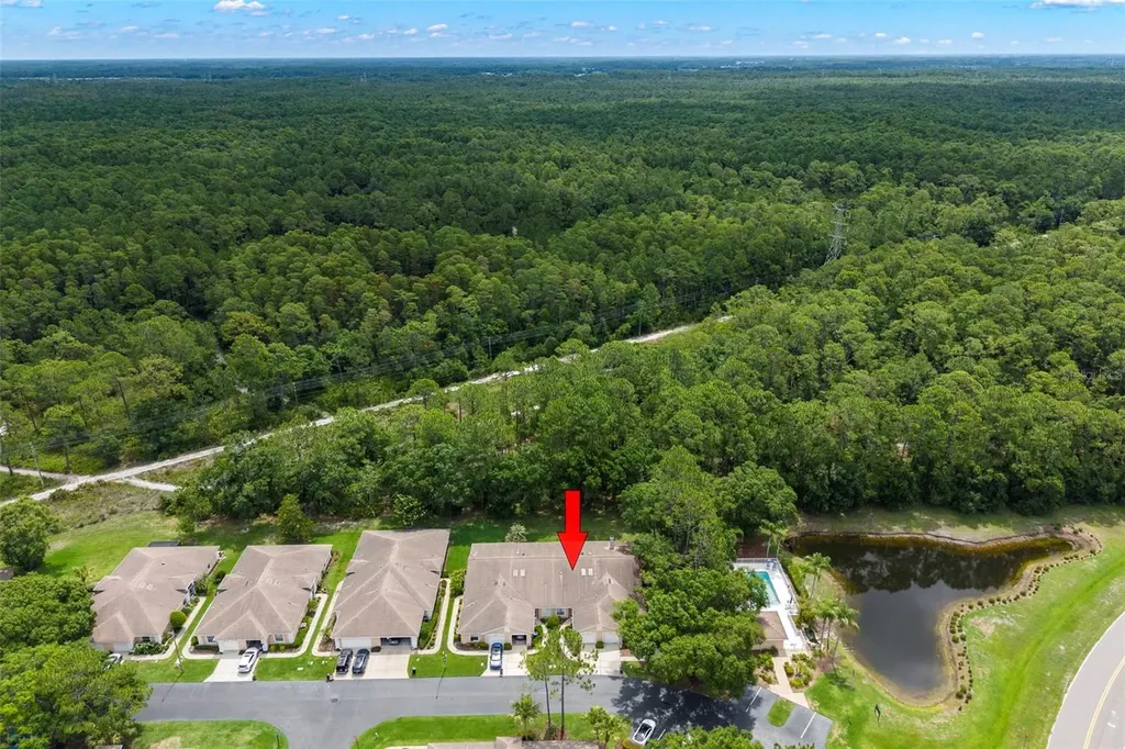 4405 Connery Court Palm Harbor FL 34685