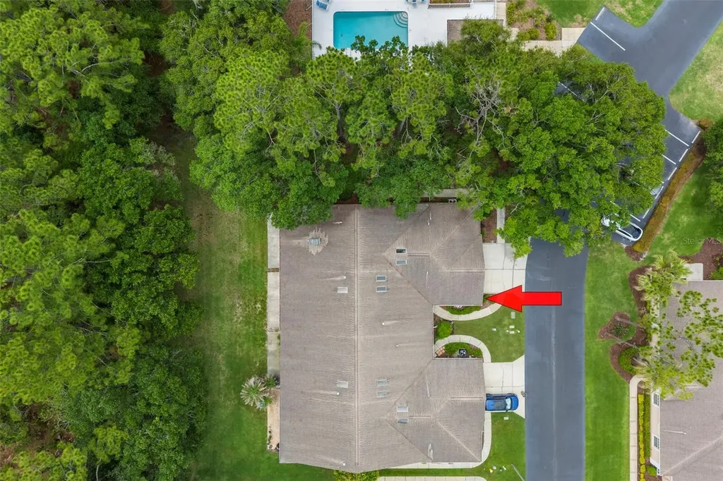 4405 Connery Court Palm Harbor FL 34685
