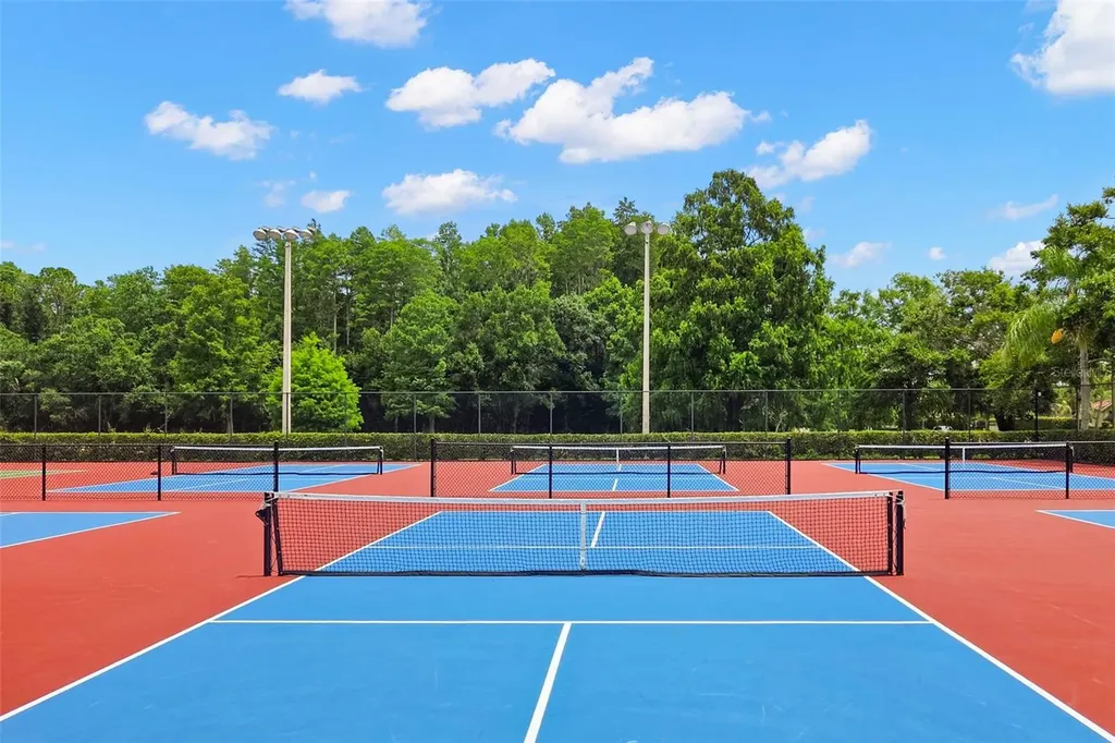 4405 Connery Court Palm Harbor FL 34685