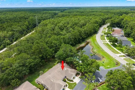 4405 Connery Court Palm Harbor FL 34685