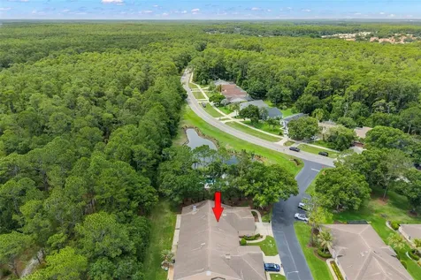 4405 Connery Court Palm Harbor FL 34685