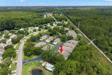 4405 Connery Court Palm Harbor FL 34685