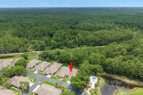 4405 Connery Court Palm Harbor FL 34685