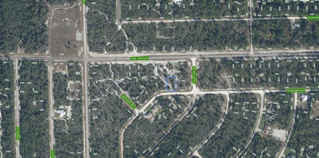 3324 Gossamer Avenue Lake Placid FL 33852
