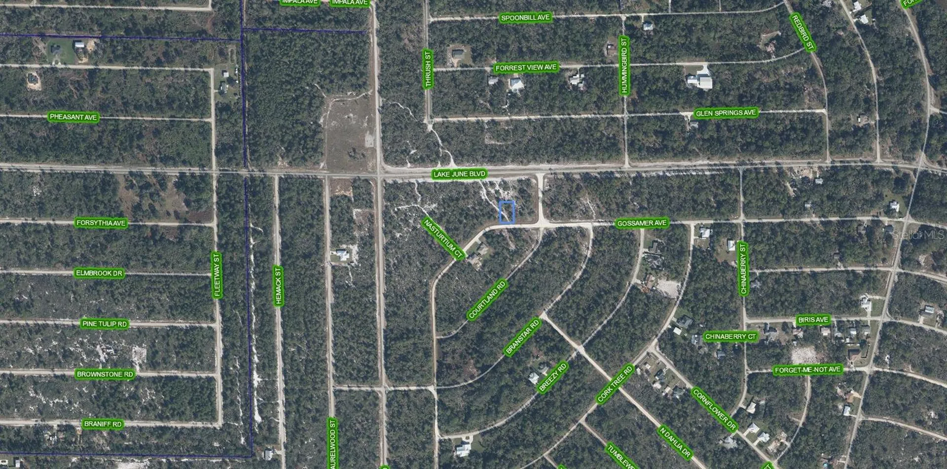 3324 Gossamer Avenue Lake Placid FL 33852