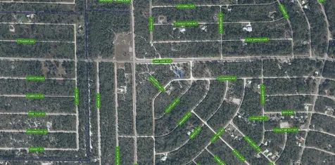 3324 Gossamer Avenue Lake Placid FL 33852
