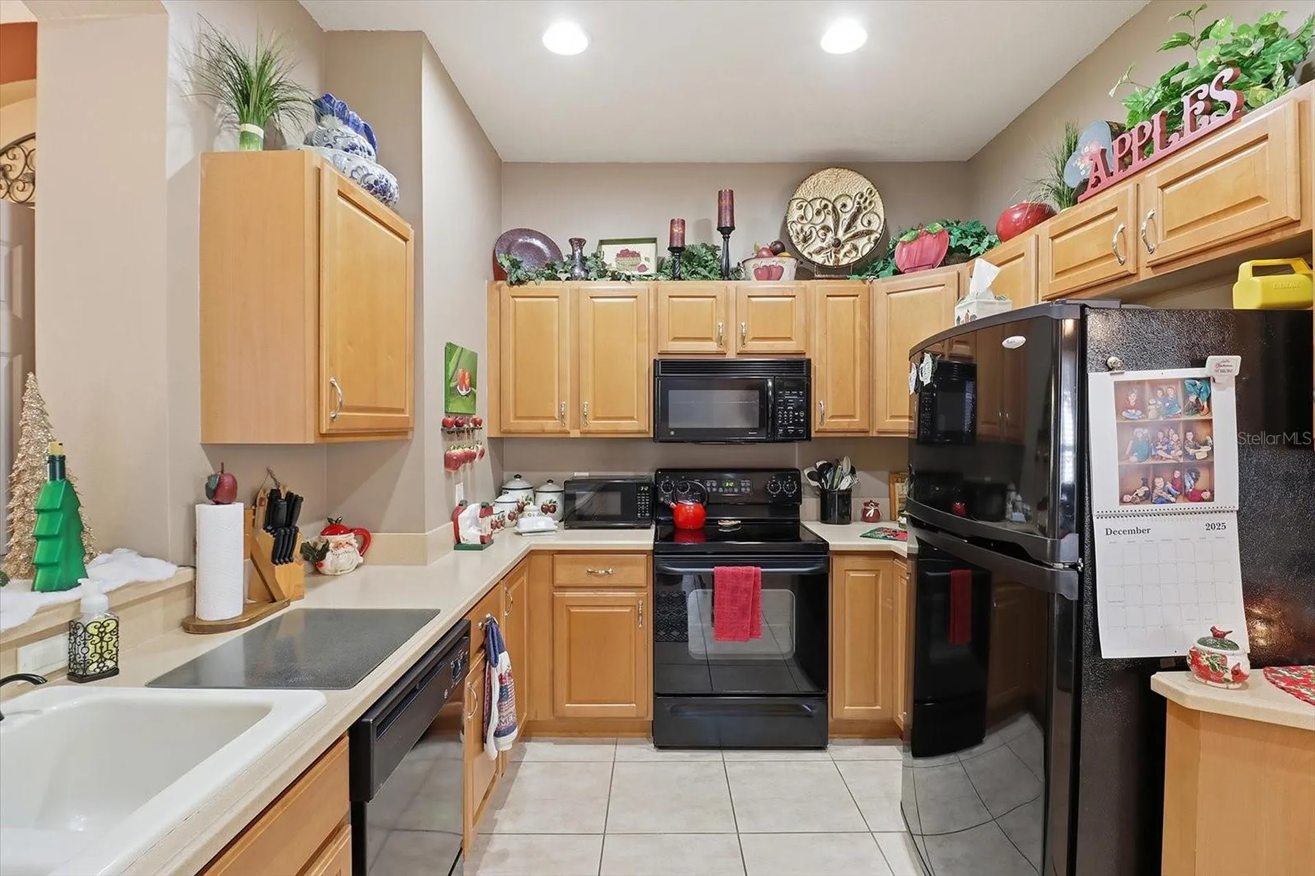 1668 W Spring Meadow Loop Lecanto FL 34461