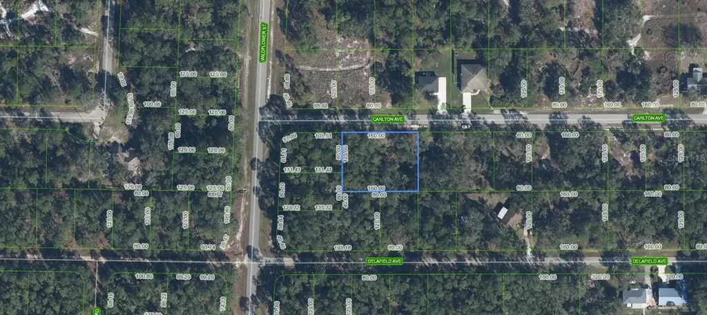 3154 Carlton Avenue Lake Placid FL 33852