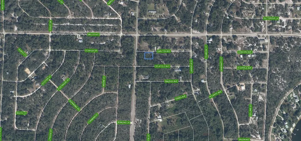 3154 Carlton Avenue Lake Placid FL 33852