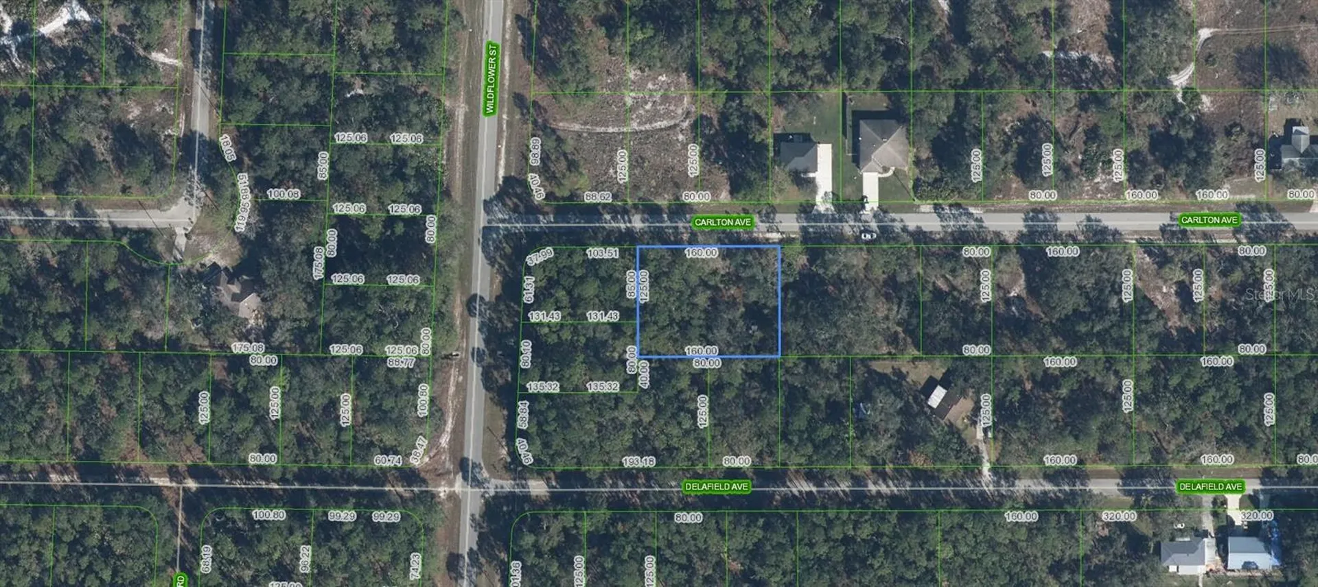 3154 Carlton Avenue Lake Placid FL 33852