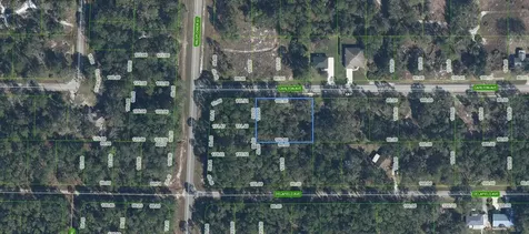 3154 Carlton Avenue Lake Placid FL 33852