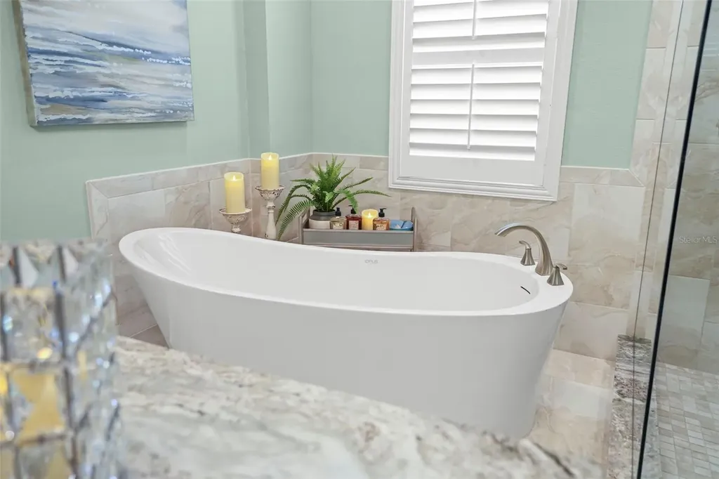 209 Highland Woods Drive Safety Harbor FL 34695