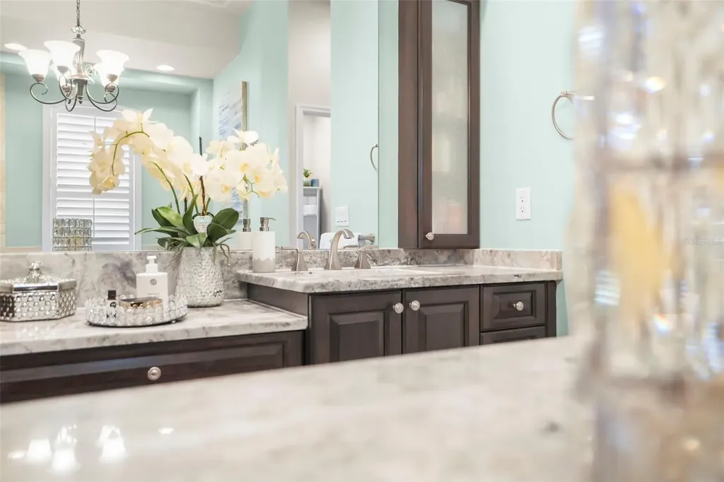 209 Highland Woods Drive Safety Harbor FL 34695