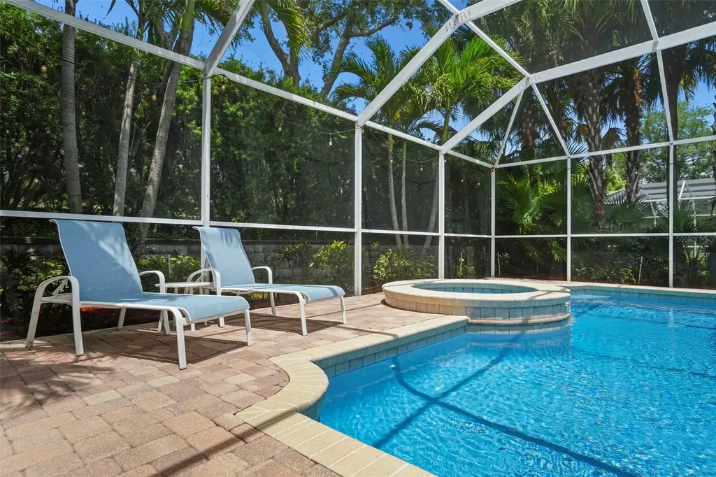 209 Highland Woods Drive Safety Harbor FL 34695