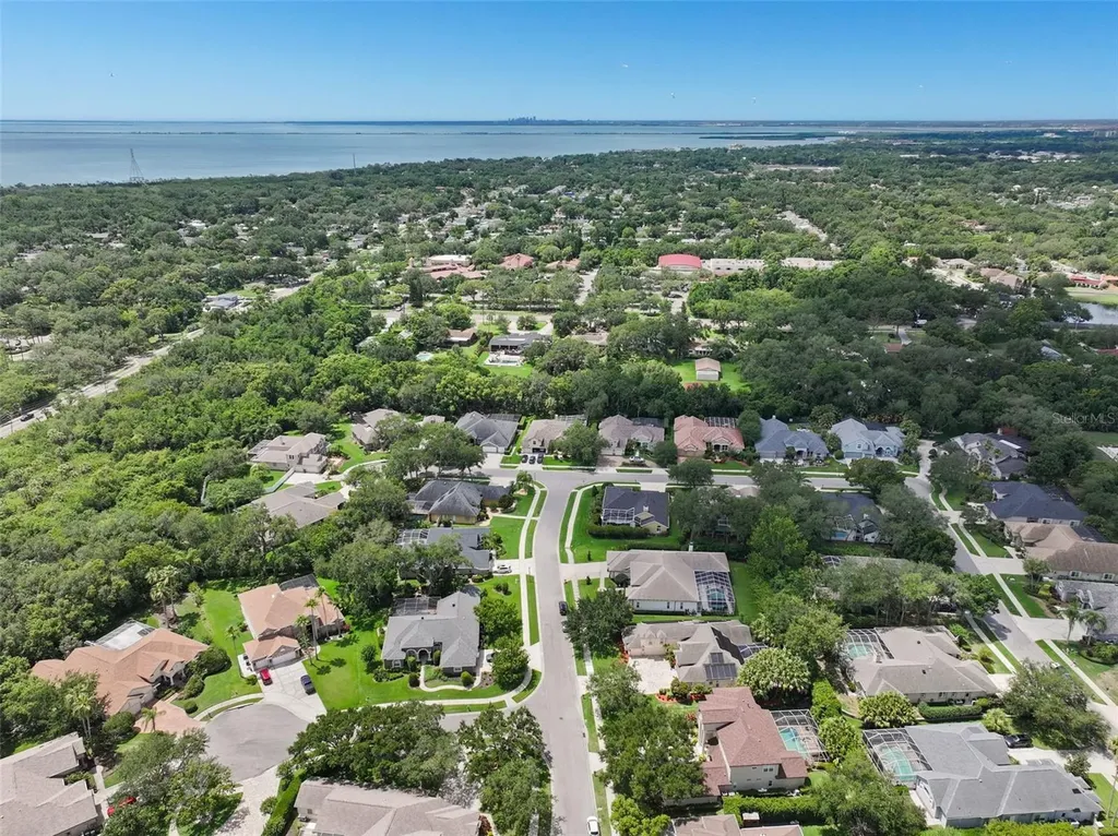 209 Highland Woods Drive Safety Harbor FL 34695