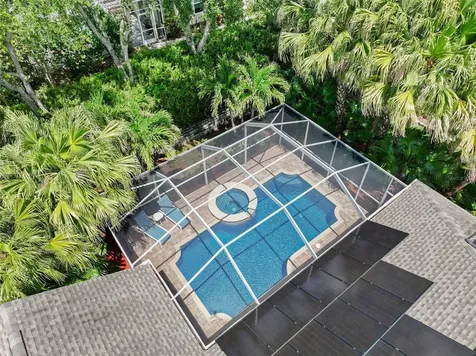 209 Highland Woods Drive Safety Harbor FL 34695