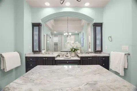 209 Highland Woods Drive Safety Harbor FL 34695