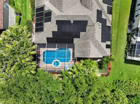 209 Highland Woods Drive Safety Harbor FL 34695
