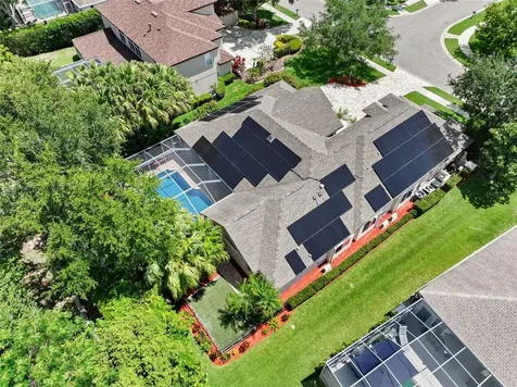 209 Highland Woods Drive Safety Harbor FL 34695