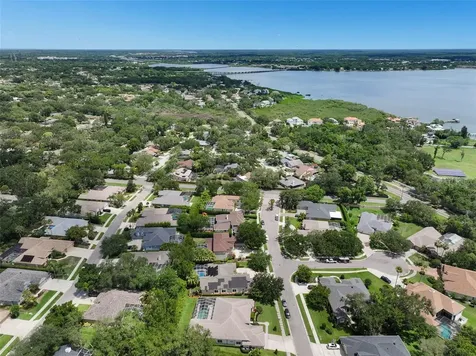 209 Highland Woods Drive Safety Harbor FL 34695