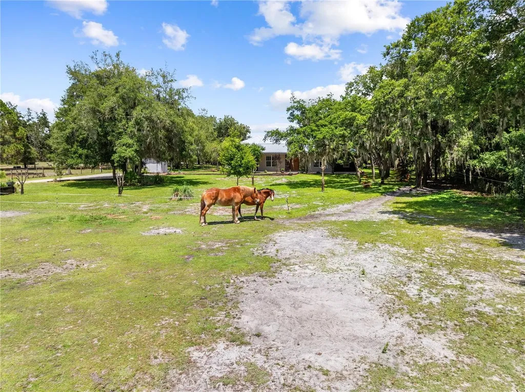 4295 Rambler Avenue St Cloud FL 34772