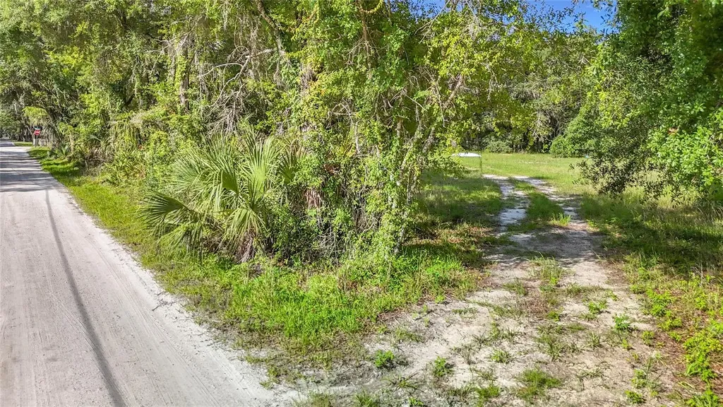 1007 Hawthorn Street Zephyrhills FL 33540