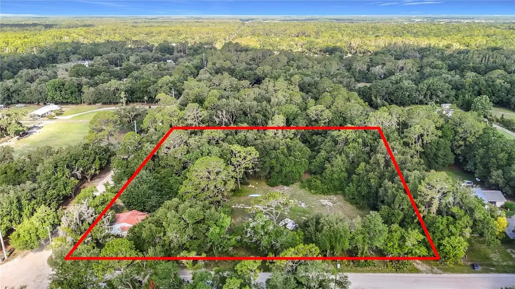 1007 Hawthorn Street Zephyrhills FL 33540