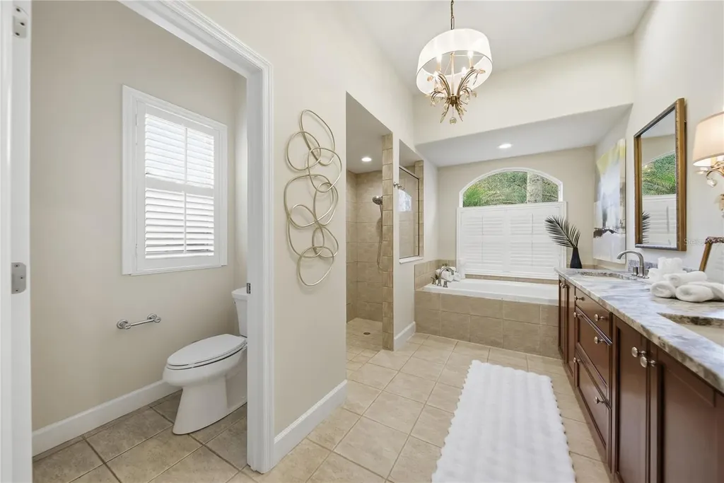 17210 Broadoak Drive Tampa FL 33647