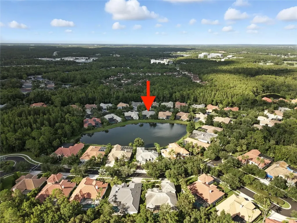 17210 Broadoak Drive Tampa FL 33647