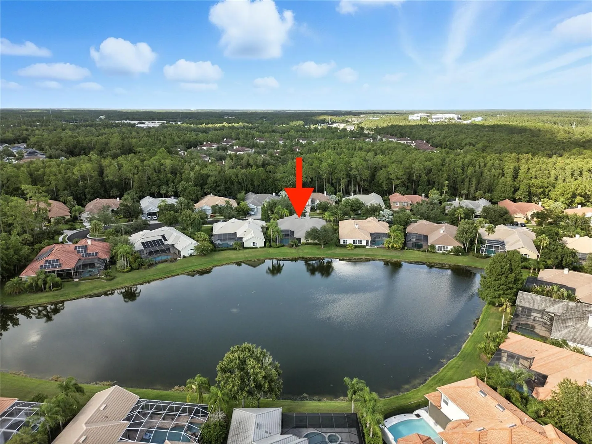 17210 Broadoak Drive Tampa FL 33647
