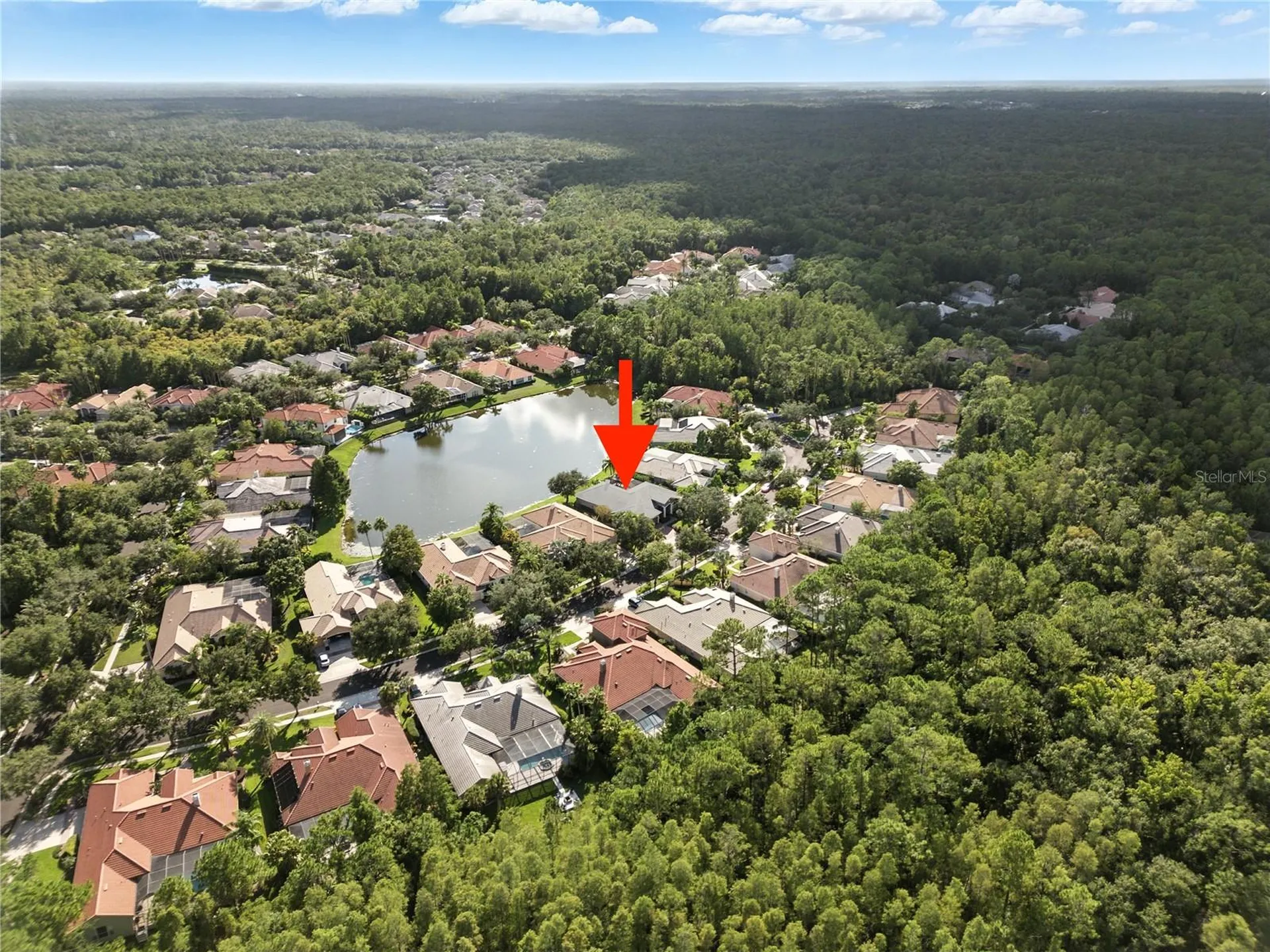 17210 Broadoak Drive Tampa FL 33647