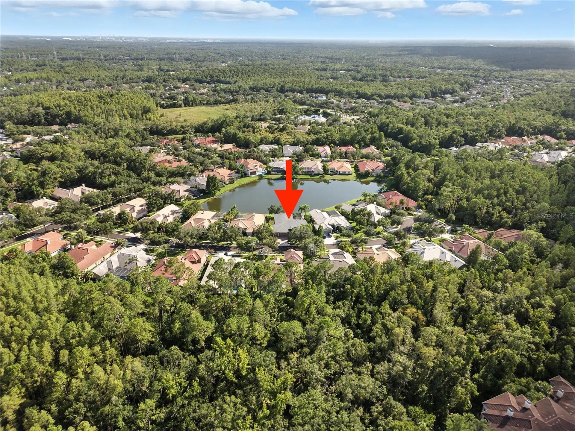 17210 Broadoak Drive Tampa FL 33647