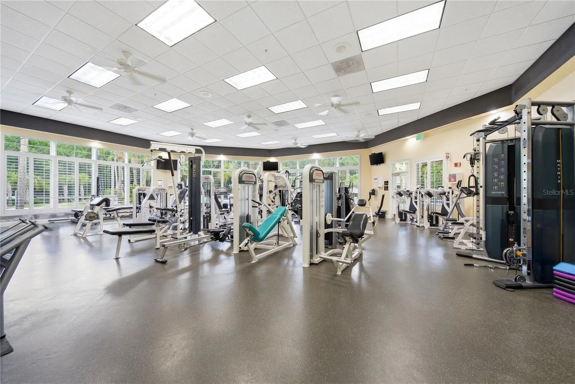 17210 Broadoak Drive Tampa FL 33647
