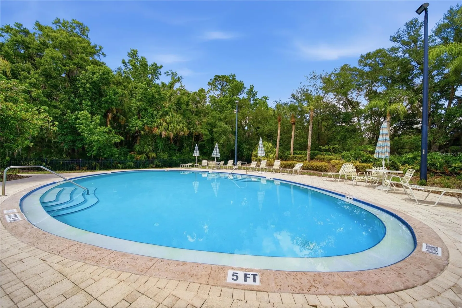 17210 Broadoak Drive Tampa FL 33647