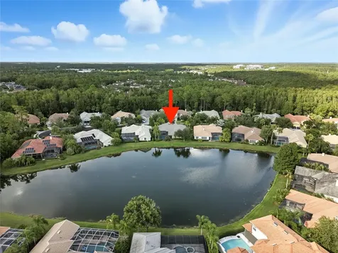 17210 Broadoak Drive Tampa FL 33647