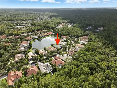 17210 Broadoak Drive Tampa FL 33647