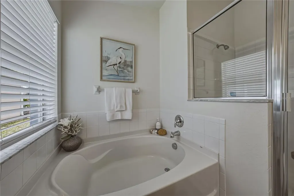 4224 Branchside Lane Wesley Chapel FL 33543