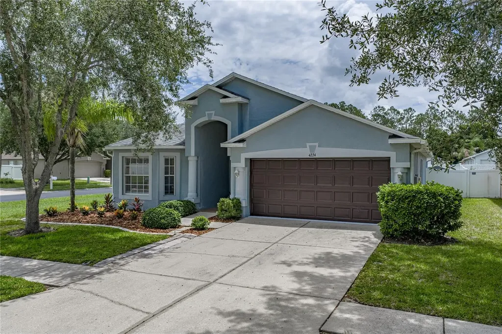 4224 Branchside Lane Wesley Chapel FL 33543