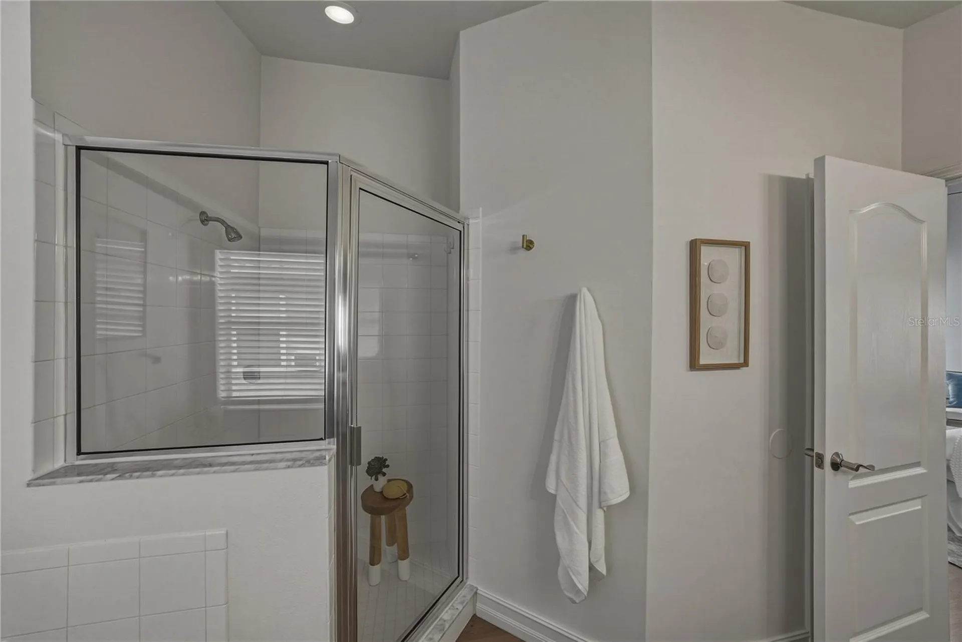 4224 Branchside Lane Wesley Chapel FL 33543